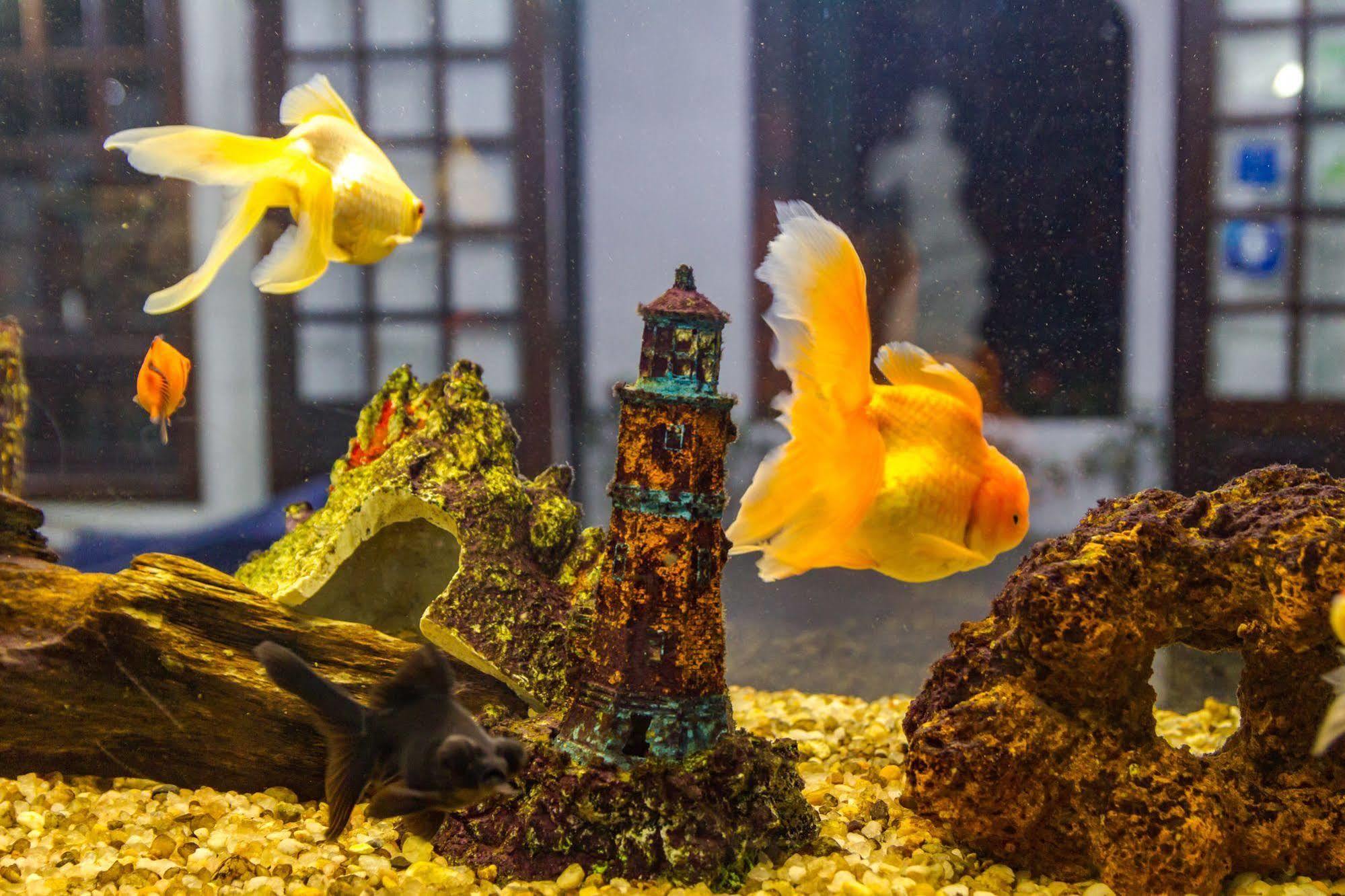 Pousada Torre Del Mar Ubatuba Εξωτερικό φωτογραφία
